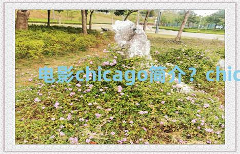 电影chicago简介？chicago 电影